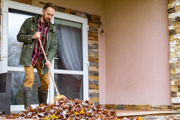 Best Furniture Removal Near Me  in Berry Creek, CA